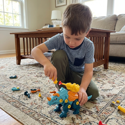 DIY Build & Transform Dinosaur Egg Toy