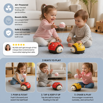 Baby Ladybug Air Toy