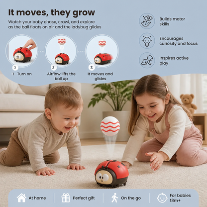 Baby Ladybug Air Toy