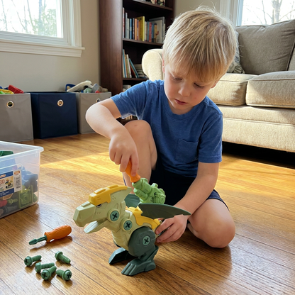 DIY Build & Transform Dinosaur Egg Toy