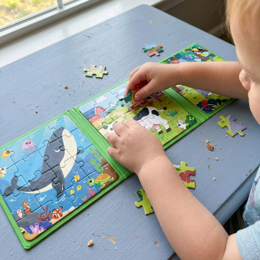 Magnetic Montessori Puzzle Book