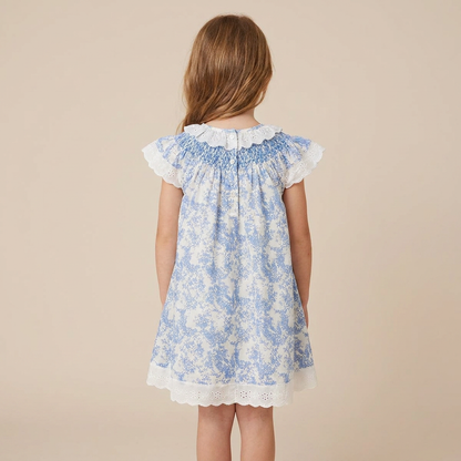 Timeless Blue Toile Dress