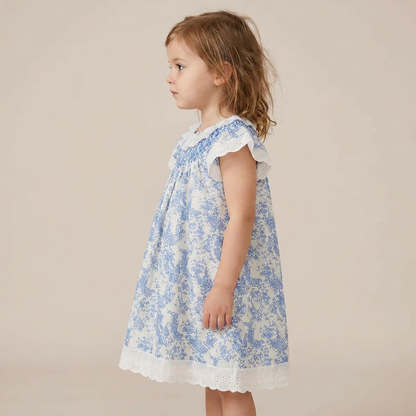 Timeless Blue Toile Dress