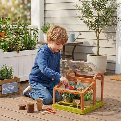 LED Acrylic Kids Greenhouse – Indoor Plant Growing Kit for Learning & Fun